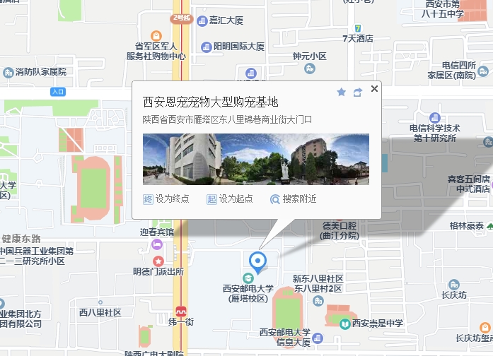 纬一街·洪武